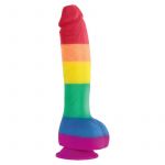 Toy Joy Dildo Bandera LGBT 19 cm