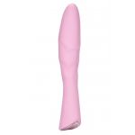 California Exotic Amour Silicone Wand 69 8010 30