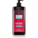 Arganicare Keratin Shampoo Regenerador 750ml