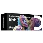 Discovery Prof Specimens Dps 5. "birds"