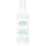 Mario Badescu Facial Spray With Aloe, Adaptogens And Coconut Water 118ml