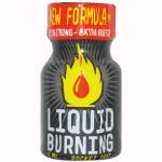 Ambientador Liquid Burning 9ml - EP02593EX