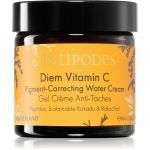 Antipodes Diem Vitamin C Pigment-correcting Water Cream Creme Hidratante Iluminador para Manhas de Pigmentação 60ml