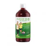 Silicium España Siliplanta de Silício Orgânico G5 1 L