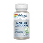 Solaray Bacillus Coagulans 60 Vegetais