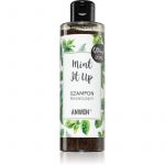 Anwen Mint It Up Shampoo Esfoliante 200ml