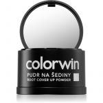 Colorwin Powder Pó Fixador para Dar Volume e Pintar Cabelo Grisalho Tom Light Brown 3,2g