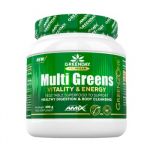 Amix Greenday Multi Greens 300g Laranja.