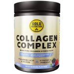 Gold Nutrition Collagen Complex Wild Berries 300g