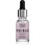 Mua Makeup Academy Pro/base Primer Iluminador com Extrato de Rosas Silvestres 15ml