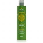 Gyada Cosmetics Hyalurvedic Shampoo Refrescante e Estimulador com Ácido Hialurónico 200ml