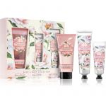 the Somerset Toiletry Co. Bath & Body Collection Peony Plum Coffret