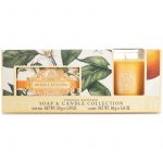 the Somerset Toiletry Co. Soap & Candle Collection Orange Blossom Coffret