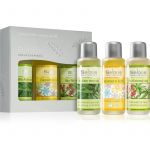 Saloos Bio Body And Massage Oils Aloe Vera & Meadow Flowers & Ricin (com Efeito Regenerador) Coffret