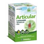 Ynsadiet Articular Cannabis 60 Cápsulas