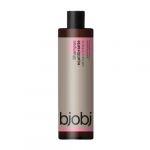 Bjobj Shampoo Equilibrante Salva e Limão 250ml