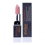 Evolux Gloss Lipstick 17