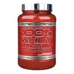 Scitec Nutrition 100% Whey Protein Professional Scitec 920g Caramelo Salgado