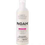 Noah Shampoo para Cabelo Pintado e Madeixas 250ml