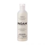 Noah Shampoo Anti-Amarelo Cabelo Pintado Mirtilo 250ml