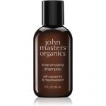 John Masters Organics Scalp Stimulanting Shampoo With Spermint & Medosweet Shampoo Estimulante com Hortelã-pimenta 60ml