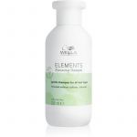 Wella Professionals Elements Renewing Shampoo Renovador para todos os Tipos de Cabelos 250ml