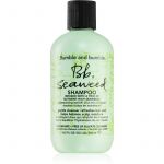 Bumble And Bumble Seaweed Shampoo Shampoo para Cabelo Ondulado com Extratos de Algas Marinas 250ml