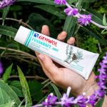 Gehwol Fusskraft Mint 125ml