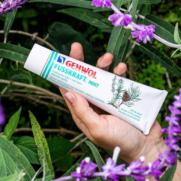 Gehwol Fusskraft Mint 125ml | KuantoKusta