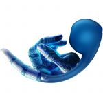 Satisfyer Pro+ Wave 4 Estimulador de Ponto G e Air Pulse Aplicativo Gratuito Azul Escuro