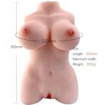 Armony Torso Feminino Realista Modelo 3