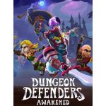 Dungeon Defenders: Awakened Steam Digital