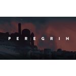 Peregrin Steam Digital