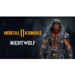 Mortal Kombat 11 Nightwolf Steam Digital