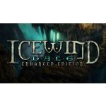 Icewind Dale: Enhanced Edition Steam Digital